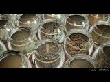 Filename=08_sands_3dt_1600.jpg
Filesize=242KB
Dimensions=1600x1200
Date added=Jul 10, 2007 08_sands_3dt_1600.jpg